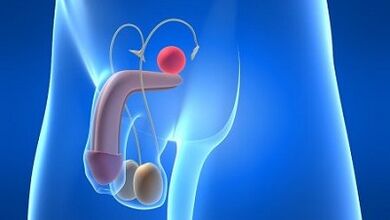 تزييت الرجال أثناء الإثارة ما هو عليه